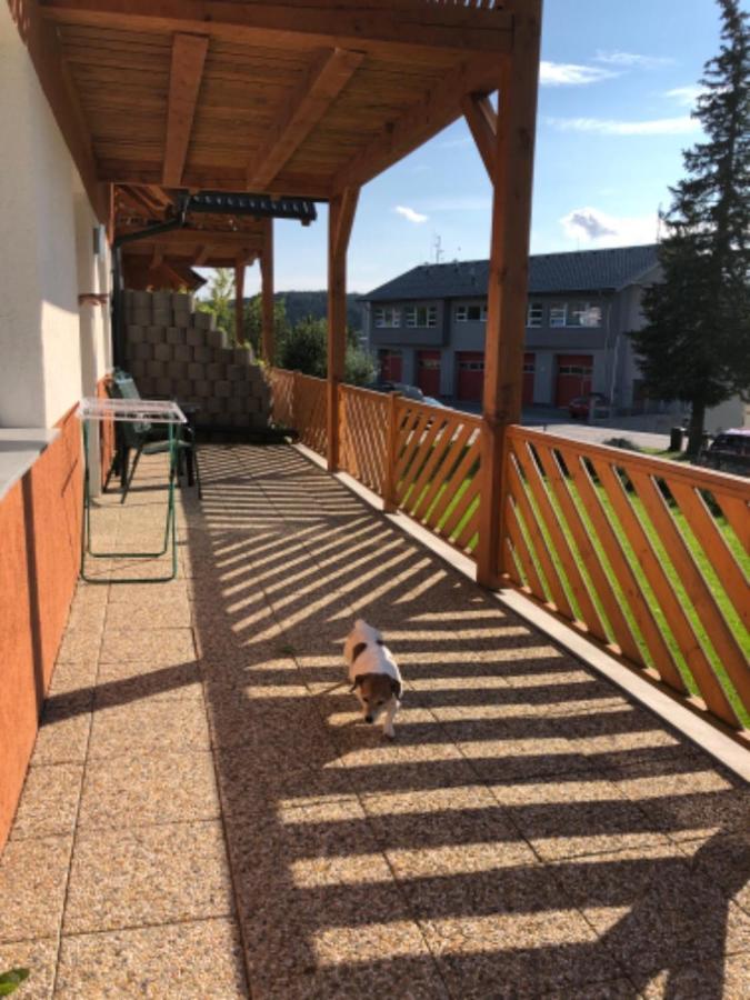 Apartmány Eva Frymburk Kültér fotó